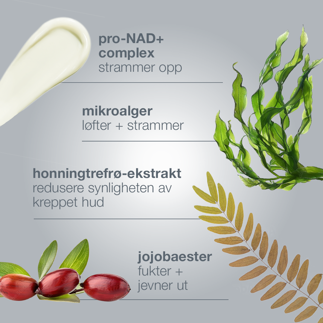 Dermalogica Dynamic Skin Sculptor