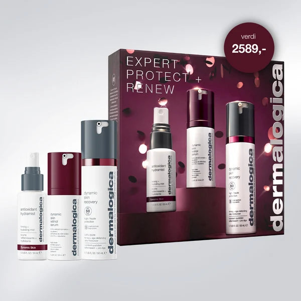 Dermalogica Expert Protect + Renew Kit