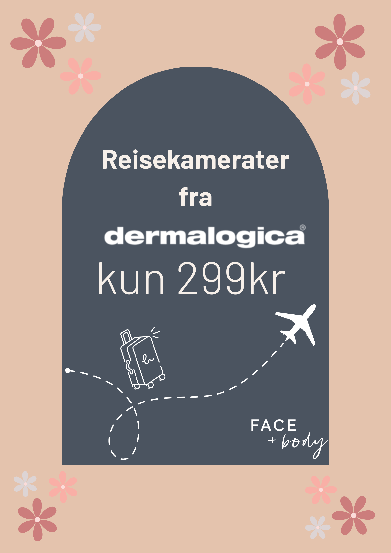 Dermalogica Reisekamerater