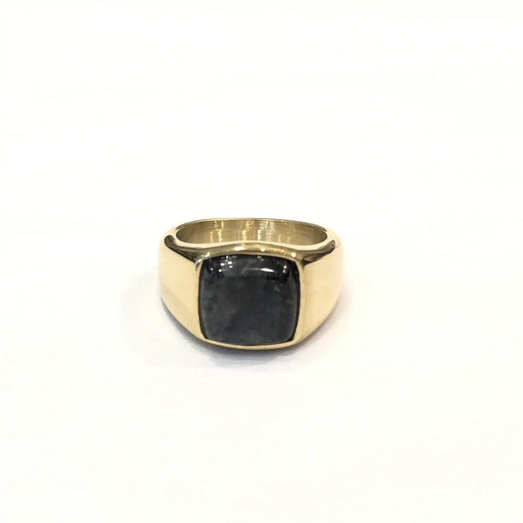 Dark Signet Ring w/ Black Onyx