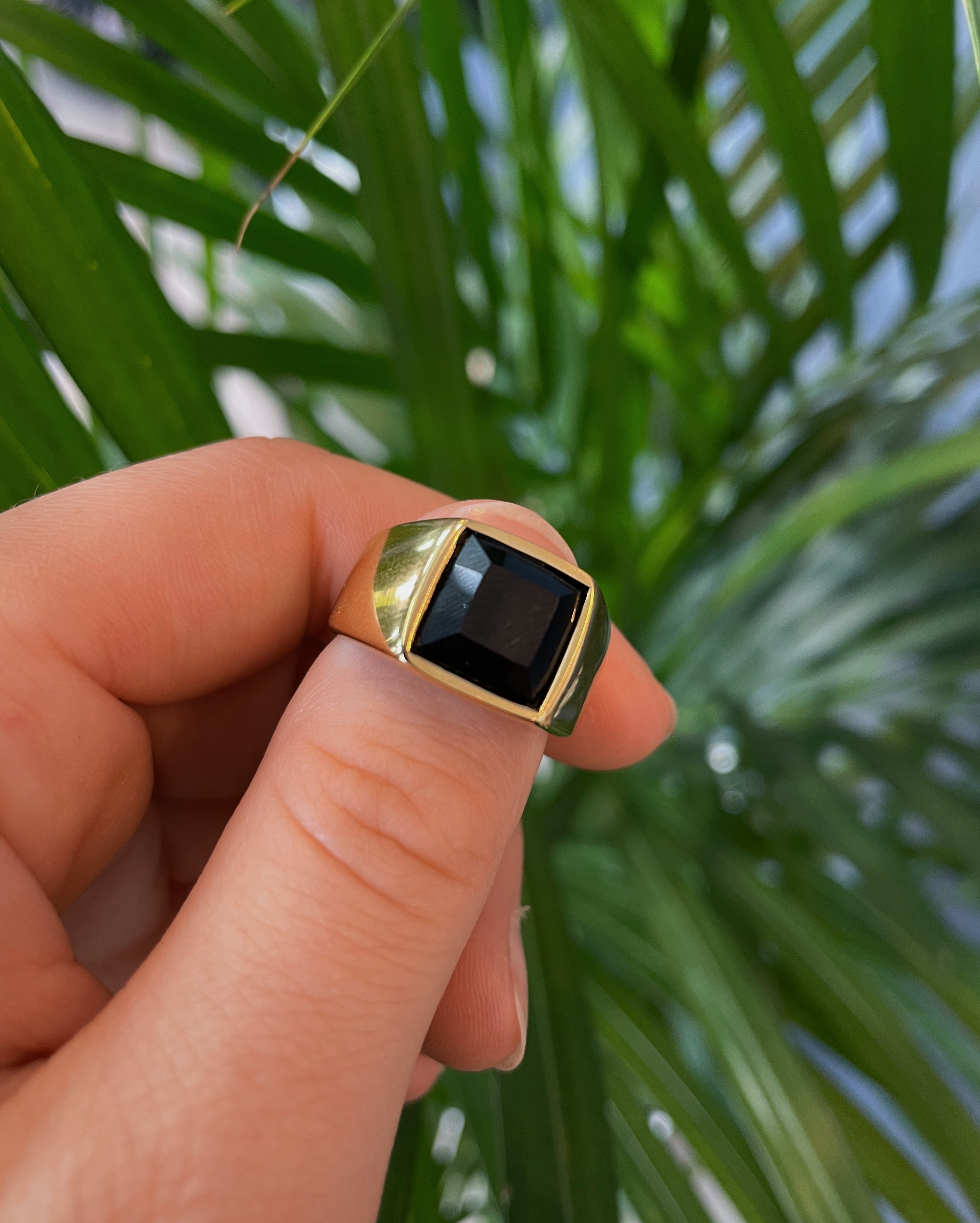Dark Signet Ring w/ Black Onyx
